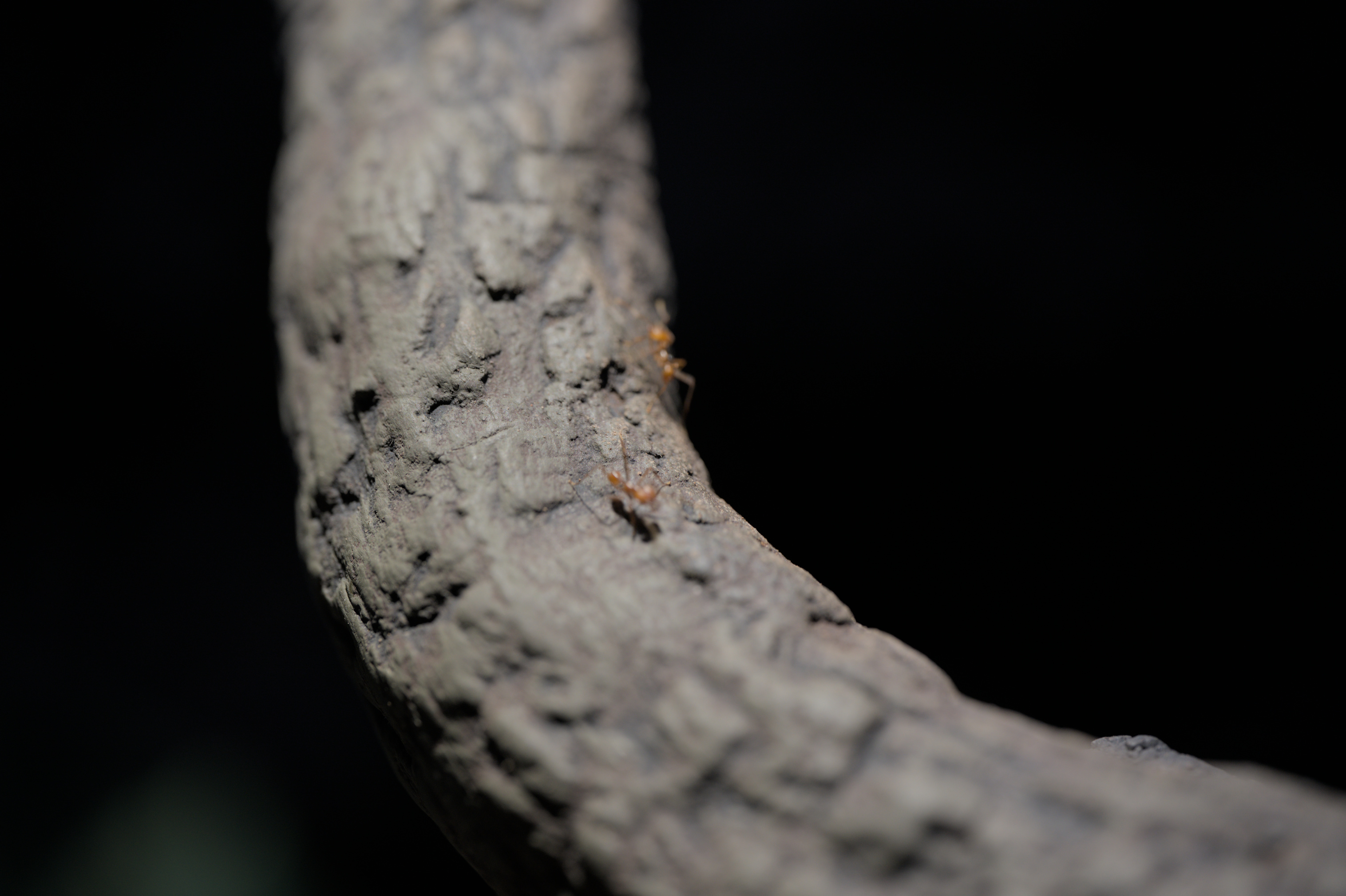 2025/10/12 - zoo/DSC_0231.jpg